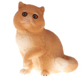 Maxbell Plastic Realistic Persian Cat Action Figure Kitten Pet Model Wildlife Jungle Animals Playset Eduactional Kids Child Toys Collectibles - Aladdin Shoppers