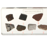 Maxbell Maxbell Real Rock and Mineral Geology Science Specimen Paperweight Collectible Gift