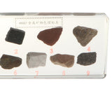 Maxbell Maxbell Real Rock and Mineral Geology Science Specimen Paperweight Collectible Gift