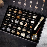 Maxbell Educational Science Set NATURAL SPECIMENS COLLECTION KIT (30pcs) with Magnifier & Brush - Aladdin Shoppers