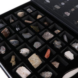 Maxbell Educational Science Set NATURAL SPECIMENS COLLECTION KIT (30pcs) with Magnifier & Brush - Aladdin Shoppers