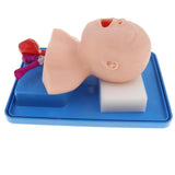 Maxbell Advanced Infant Intubation Manikin Teaching Tool Airway Management Trainer Nurse School Learning Display - Aladdin Shoppers