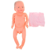 Maxbell Anatomically Correct 20inch Natural Baby Boy Doll Weighted Vinyl Body Infant - Babysitter Nursing Teaching Supplies #C - Aladdin Shoppers