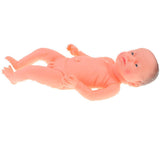 Maxbell Anatomically Correct 20inch Natural Baby Boy Doll Weighted Vinyl Body Infant - Babysitter Nursing Teaching Supplies #C - Aladdin Shoppers