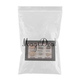 Maxbell Maxbell Natural Marine Animal Fossils Collection Biology Science Kit - Pack of 6