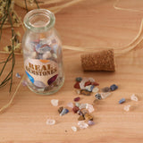 Maxbell Maxbell Mini Gemstone & Mineral Bottle Collection Kit Home Decor Mixed Mineral