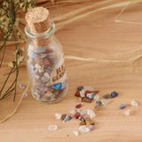 Maxbell Maxbell Mini Gemstone & Mineral Bottle Collection Kit Home Decor Mixed Mineral