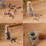 Maxbell Maxbell Mini Gemstone & Mineral Bottle Collection Kit Home Decor Mixed Mineral