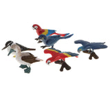 Maxbell Set of 6pcs Macaw Parrot Kookaburra Brid Model Plastic Wildlife Jungle Forest Ocean Animals Action Figure Eduactional Toys Playset - Aladdin Shoppers