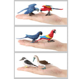 Maxbell Set of 6pcs Macaw Parrot Kookaburra Brid Model Plastic Wildlife Jungle Forest Ocean Animals Action Figure Eduactional Toys Playset - Aladdin Shoppers