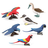 Maxbell Set of 6pcs Macaw Parrot Kookaburra Brid Model Plastic Wildlife Jungle Forest Ocean Animals Action Figure Eduactional Toys Playset - Aladdin Shoppers