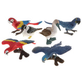 Maxbell Set of 6pcs Macaw Parrot Kookaburra Brid Model Plastic Wildlife Jungle Forest Ocean Animals Action Figure Eduactional Toys Playset - Aladdin Shoppers