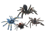 Maxbell Maxbell 4Pcs Plastic Realistic Spider Model Action Figure Toy for Kids Toddlers, Home Decor, Collection