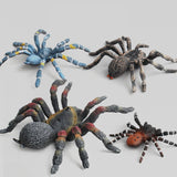 Maxbell Maxbell 4Pcs Plastic Realistic Spider Model Action Figure Toy for Kids Toddlers, Home Decor, Collection