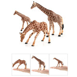 3PCS Simulation Plastic Wildlife Animal Giraffe Model Action Figurine Collectibles Science Nature Toy - Aladdin Shoppers