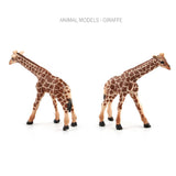 3PCS Simulation Plastic Wildlife Animal Giraffe Model Action Figurine Collectibles Science Nature Toy - Aladdin Shoppers