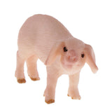 Maxbell Maxbell Lifelike Animal Model Figure Toys Figurine Home Table Decoration Toys Pig