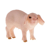 Maxbell Maxbell Lifelike Animal Model Figure Toys Figurine Home Table Decoration Toys Pig