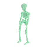 Maxbell Full Body Halloween Skeleton Man w/ Hand Groups for Decoration Sodagreen