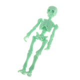 Maxbell Full Body Halloween Skeleton Man w/ Hand Groups for Decoration Sodagreen