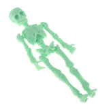 Maxbell Full Body Halloween Skeleton Man w/ Hand Groups for Decoration Sodagreen