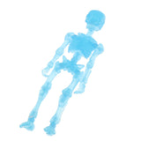 Maxbell Full Body Halloween Skeleton Man w/ Hand Groups for Decoration Electric Blue