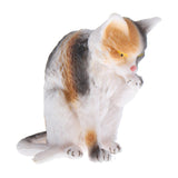 Maxbell Simulation Multi Animal Model Figurine Educational Toy Home Decor Tabby Cat