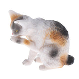 Maxbell Simulation Multi Animal Model Figurine Educational Toy Home Decor Tabby Cat