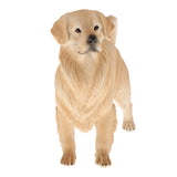 Maxbell Maxbell Simulation Pet Animal Model Figurine Educational Toy Home Decor - Golden Dog