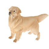 Maxbell Maxbell Simulation Pet Animal Model Figurine Educational Toy Home Decor - Golden Dog