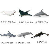 Maxbell Maxbell 6 Pieces Realistic Sea Life Animal Model Figurine Kids Educational Toy