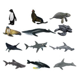 Maxbell Maxbell 12 Pieces Realistic Sea Life Animal Model Figurine Kids Educational Toys