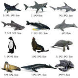 Maxbell Maxbell 12 Pieces Realistic Sea Life Animal Model Figurine Kids Educational Toys