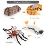 Maxbell Maxbell Kids Toy Simulation Animal Figures Set Growth Process Playset Mosquito