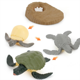 Maxbell Maxbell Kids Toy Simulation Animal Figures Set Growth Process Playset Turtle