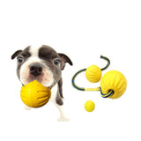 EVA Dog Chew Ball Toys Yellow Bite Resistant for Dogs Training Playing 9cm Ball With Rope - Aladdin Shoppers