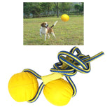 EVA Dog Chew Ball Toys Yellow Bite Resistant for Dogs Training Playing 9cm Ball With Rope - Aladdin Shoppers