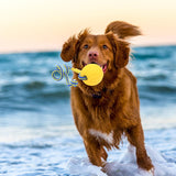 EVA Dog Chew Ball Toys Yellow Bite Resistant for Dogs Training Playing 9cm Ball With Rope - Aladdin Shoppers