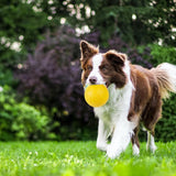 EVA Dog Chew Ball Toys Yellow Bite Resistant for Dogs Training Playing 7cm Ball - Aladdin Shoppers