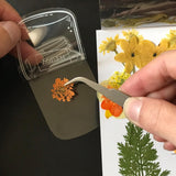 Maxbell Maxbell 20Pcs DIY Transparent Dried Flower Bookmarks for Home Party Favors