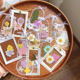 Maxbell Maxbell 20Pcs DIY Transparent Dried Flower Bookmarks for Home Party Favors