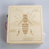 Maxbell Switch Busy Board Travel Toy for Educational Kindergarten Activities Centers with screwdriver