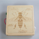 Maxbell Switch Busy Board Travel Toy for Educational Kindergarten Activities Centers with screwdriver