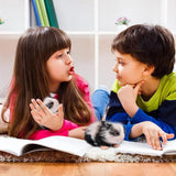 Maxbell Mini Silicone Baby Doll Panda for Home Decoration Boy Girls Photography Prop