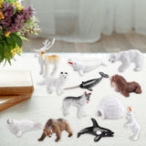 Maxbell 12x Arctic Animal Toys Development Playset for Holiday Kindergarten Festivals
