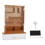 Maxbell Green Life Science Grow A Maze Observe Planting House Planting Kits for Kids