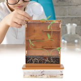 Maxbell Green Life Science Grow A Maze Observe Planting House Planting Kits for Kids