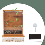 Maxbell Green Life Science Grow A Maze Observe Planting House Planting Kits for Kids