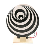 Maxbell Scientific Experiment Model Teaching Material for Kids 11 12 Year Old 8 9 10