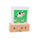 Maxbell Flash Cards Match Toys Memory Training Preschool Activity for Kids Preschool